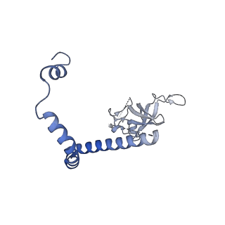 29262_8fkz_NF_v1-1
Human nucleolar pre-60S ribosomal subunit (State G)
