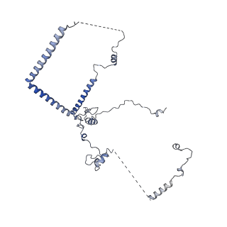 29262_8fkz_NL_v1-1
Human nucleolar pre-60S ribosomal subunit (State G)