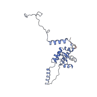 29262_8fkz_SE_v1-1
Human nucleolar pre-60S ribosomal subunit (State G)