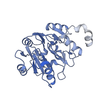 29262_8fkz_SK_v1-1
Human nucleolar pre-60S ribosomal subunit (State G)
