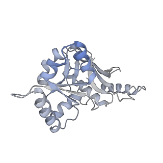29262_8fkz_SL_v1-1
Human nucleolar pre-60S ribosomal subunit (State G)