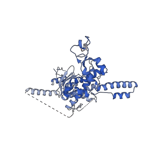 29262_8fkz_SM_v1-1
Human nucleolar pre-60S ribosomal subunit (State G)