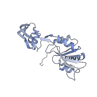 29262_8fkz_SQ_v1-1
Human nucleolar pre-60S ribosomal subunit (State G)