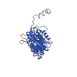 4270_6fkf_A_v1-3
Chloroplast F1Fo conformation 1