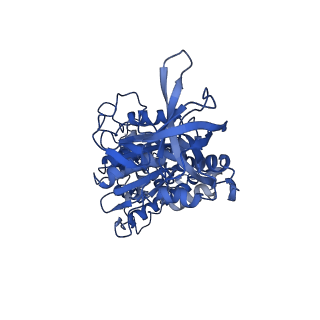 4270_6fkf_B_v1-3
Chloroplast F1Fo conformation 1