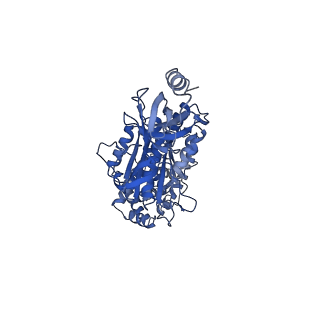 4270_6fkf_C_v1-3
Chloroplast F1Fo conformation 1