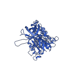 4270_6fkf_D_v1-3
Chloroplast F1Fo conformation 1