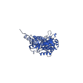 4270_6fkf_E_v1-3
Chloroplast F1Fo conformation 1