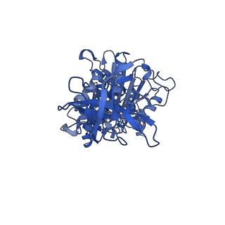 4270_6fkf_F_v1-3
Chloroplast F1Fo conformation 1