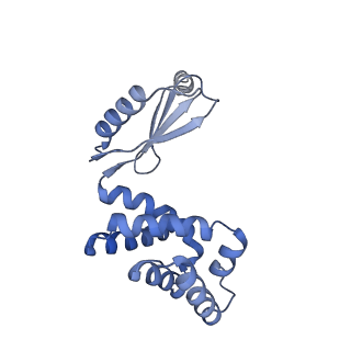 4270_6fkf_d_v1-3
Chloroplast F1Fo conformation 1