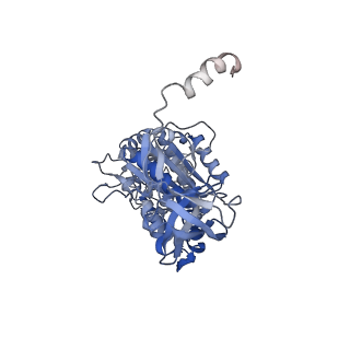 4271_6fkh_A_v1-2
Chloroplast F1Fo conformation 2
