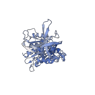4271_6fkh_B_v1-2
Chloroplast F1Fo conformation 2
