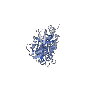 4271_6fkh_C_v1-2
Chloroplast F1Fo conformation 2