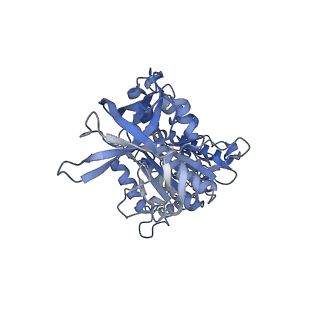 4271_6fkh_D_v1-2
Chloroplast F1Fo conformation 2