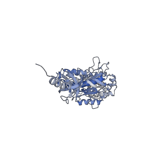 4271_6fkh_E_v1-2
Chloroplast F1Fo conformation 2