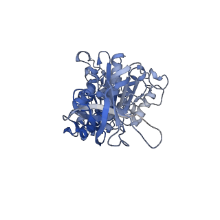 4271_6fkh_F_v1-2
Chloroplast F1Fo conformation 2