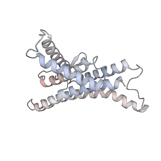 4271_6fkh_a_v1-2
Chloroplast F1Fo conformation 2