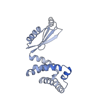 4271_6fkh_d_v1-2
Chloroplast F1Fo conformation 2