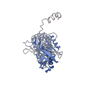 4272_6fki_A_v1-0
Chloroplast F1Fo conformation 3