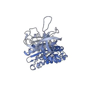 4272_6fki_B_v1-0
Chloroplast F1Fo conformation 3