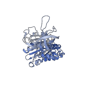 4272_6fki_B_v2-2
Chloroplast F1Fo conformation 3