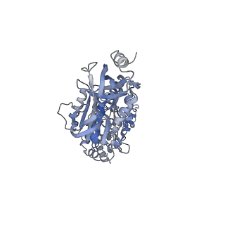 4272_6fki_C_v1-0
Chloroplast F1Fo conformation 3