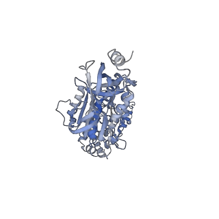 4272_6fki_C_v2-2
Chloroplast F1Fo conformation 3