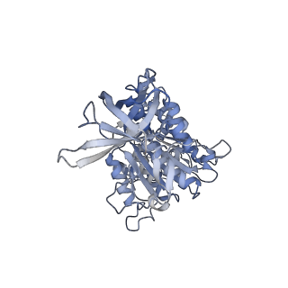 4272_6fki_D_v1-0
Chloroplast F1Fo conformation 3