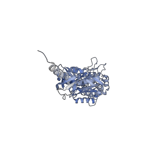4272_6fki_E_v1-0
Chloroplast F1Fo conformation 3