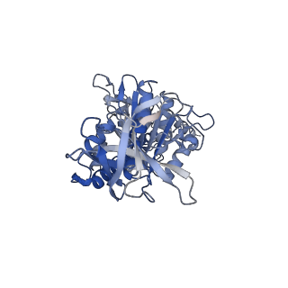 4272_6fki_F_v1-0
Chloroplast F1Fo conformation 3
