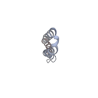 4272_6fki_J_v1-0
Chloroplast F1Fo conformation 3