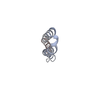 4272_6fki_J_v2-2
Chloroplast F1Fo conformation 3