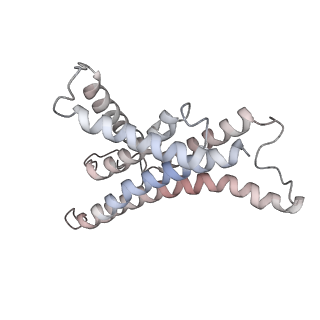 4272_6fki_a_v1-0
Chloroplast F1Fo conformation 3