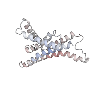 4272_6fki_a_v2-2
Chloroplast F1Fo conformation 3