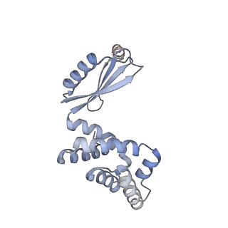 4272_6fki_d_v1-0
Chloroplast F1Fo conformation 3