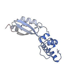 29263_8fl0_BA_v1-1
Human nucleolar pre-60S ribosomal subunit (State H)