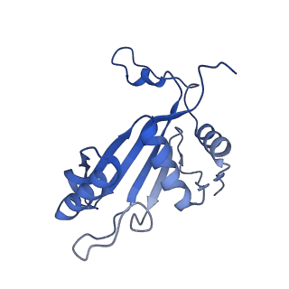 29263_8fl0_L5_v1-1
Human nucleolar pre-60S ribosomal subunit (State H)