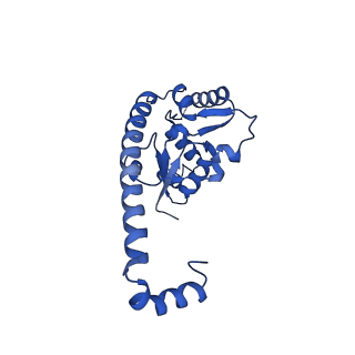 29263_8fl0_L7_v1-1
Human nucleolar pre-60S ribosomal subunit (State H)