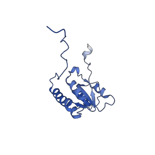 29263_8fl0_LB_v1-1
Human nucleolar pre-60S ribosomal subunit (State H)