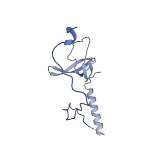 29263_8fl0_LE_v1-1
Human nucleolar pre-60S ribosomal subunit (State H)