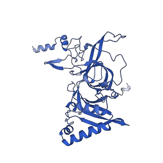 29263_8fl0_LN_v1-1
Human nucleolar pre-60S ribosomal subunit (State H)