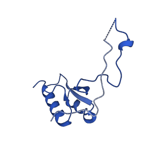29263_8fl0_LQ_v1-1
Human nucleolar pre-60S ribosomal subunit (State H)