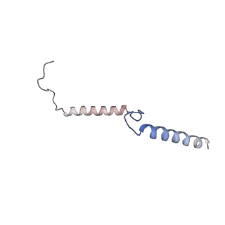 29263_8fl0_NB_v1-1
Human nucleolar pre-60S ribosomal subunit (State H)