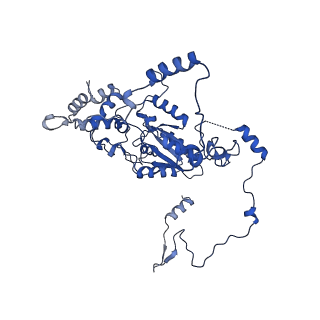 29263_8fl0_NC_v1-1
Human nucleolar pre-60S ribosomal subunit (State H)