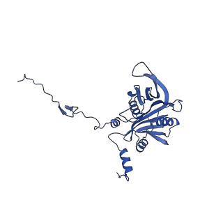 29263_8fl0_ND_v1-1
Human nucleolar pre-60S ribosomal subunit (State H)