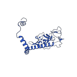 29263_8fl0_NF_v1-1
Human nucleolar pre-60S ribosomal subunit (State H)