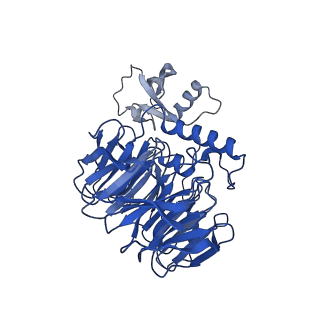 29263_8fl0_NJ_v1-1
Human nucleolar pre-60S ribosomal subunit (State H)