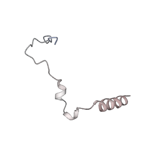 29263_8fl0_NZ_v1-1
Human nucleolar pre-60S ribosomal subunit (State H)