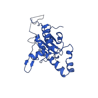 29263_8fl0_SB_v1-1
Human nucleolar pre-60S ribosomal subunit (State H)
