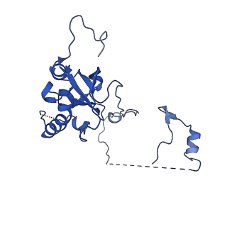 29263_8fl0_SC_v1-1
Human nucleolar pre-60S ribosomal subunit (State H)
